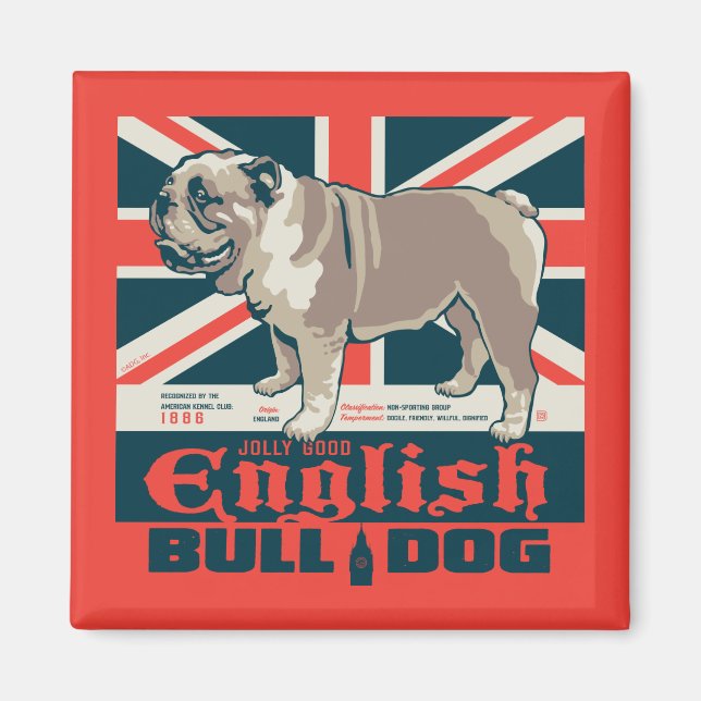Jolly Bra English Bulldog Magnet (Framsidan)