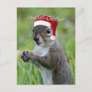 Jolly Florida Santa Squirrel™ Wearing Santa Hat Helg Vykort