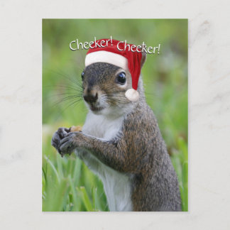 Jolly Florida Santa Squirrel™ Wearing Santa Hat Helg Vykort