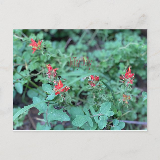 Jolly juli-vykort vykort (Framsida)