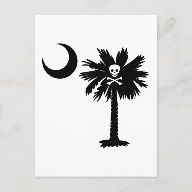 Jolly Roger Pirat Palmetto Vykort (Framsida)