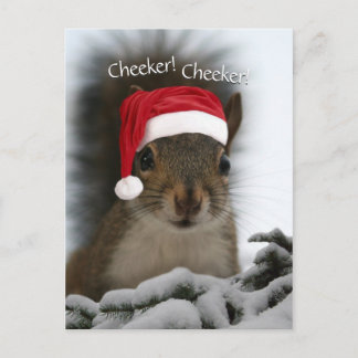 Jolly Squirrel Wearing Santa Hat ・ Santa Squirrel Helg Vykort