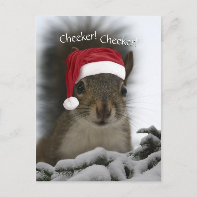 Jolly Squirrel Wearing Santa Hat ・ Santa Squirrel Helg Vykort (Framsida)