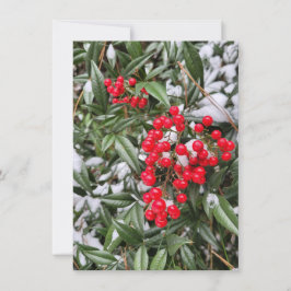 Jolly Winter Berry-julhälsningskort