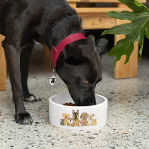 JollyKins Hundar & Cats