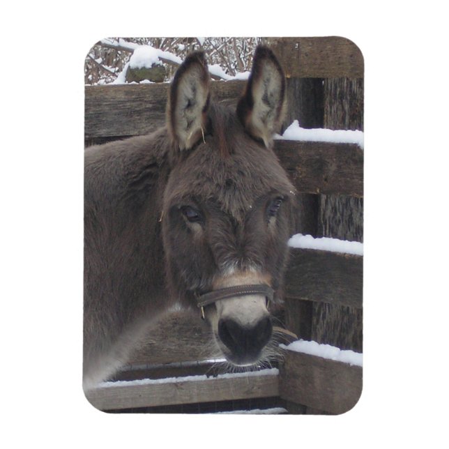 "Jonathan" Magnet (Vertikal)