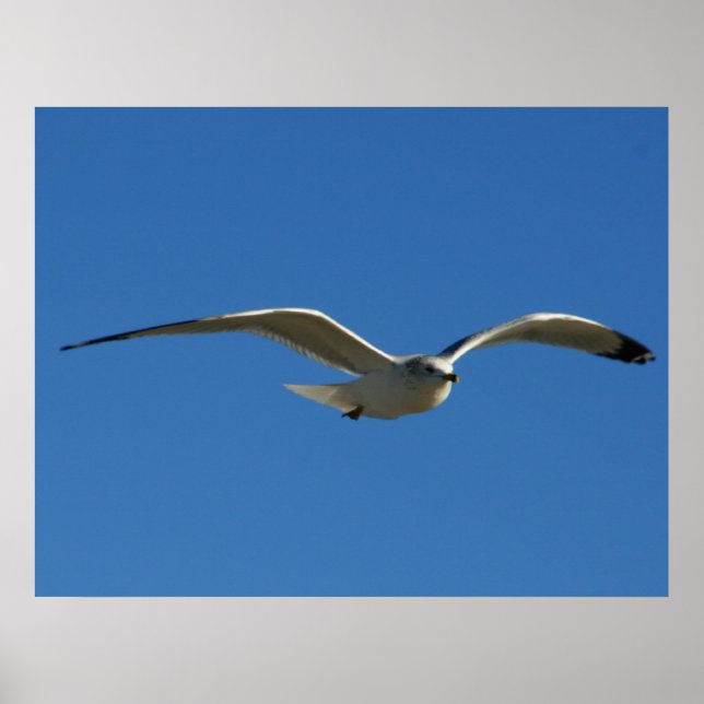 Jonathan Poster (Framsidan)