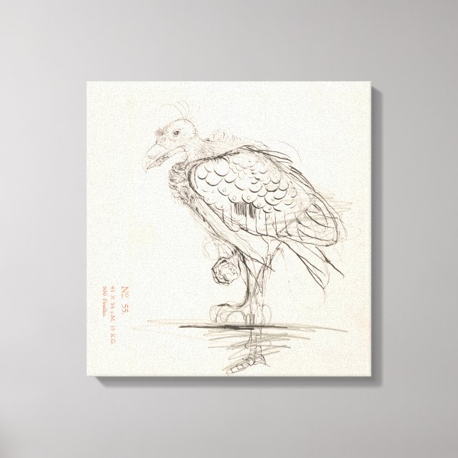 Jonge vogel, staand naar links op één poot, Jan Mo Canvastryck (Framsida)