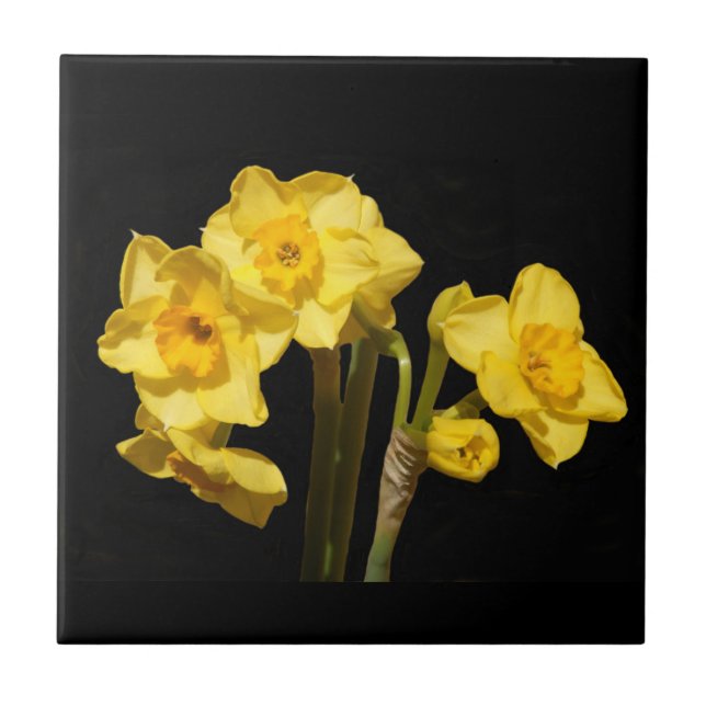 Jonquil blommar keramiskt belägger med tegel kakelplatta (Framsidan)