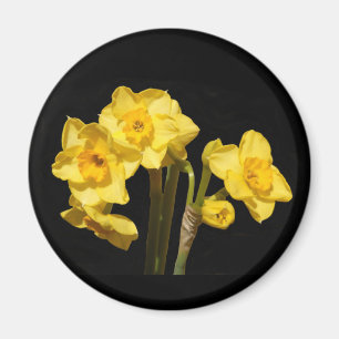 Jonquil blommar magneten magnet