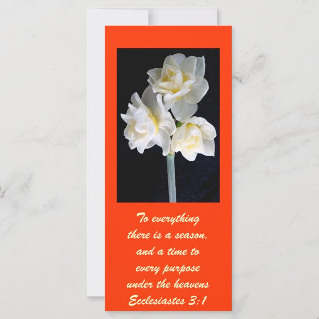 Jonquil Flower - Ecclesiastes 3:1 (Framsida)