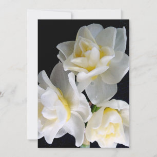 Jonquil Flower - Ecclesiastes 3:1