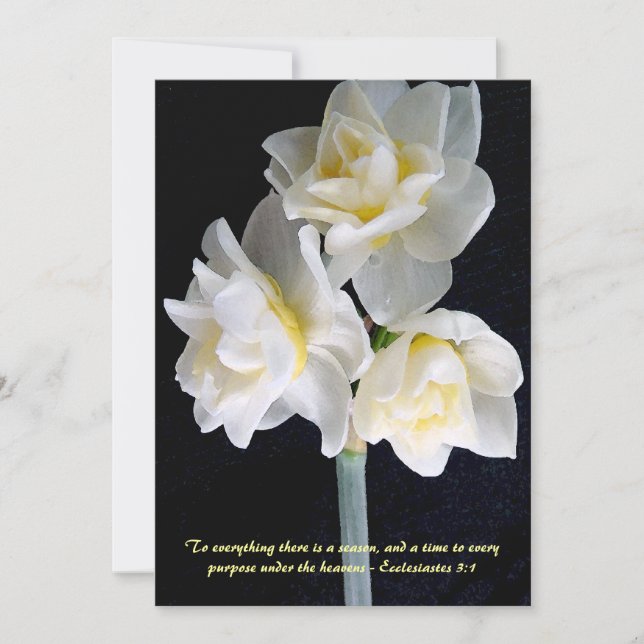 Jonquil Flower - Ecclesiastes 3:1 (Framsida)