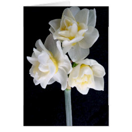 Jonquil Flower - Ecclesiastes 3:1 Hälsningskort