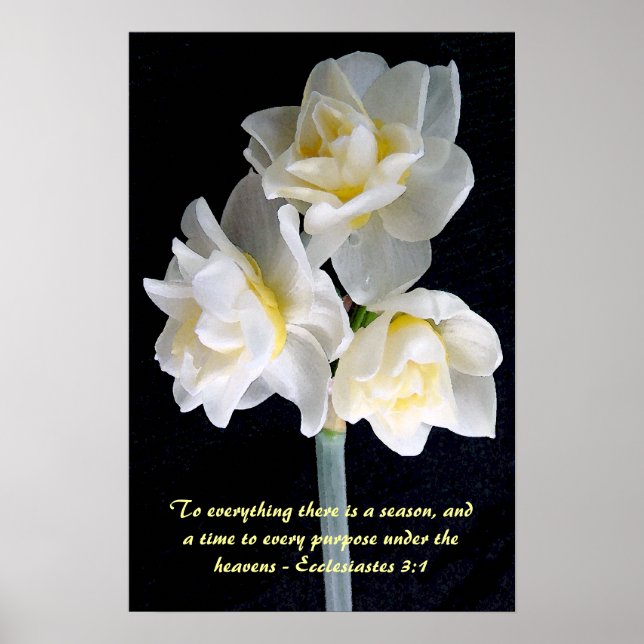 Jonquil Flower - Ecclesiastes 3:1 Poster (Framsidan)
