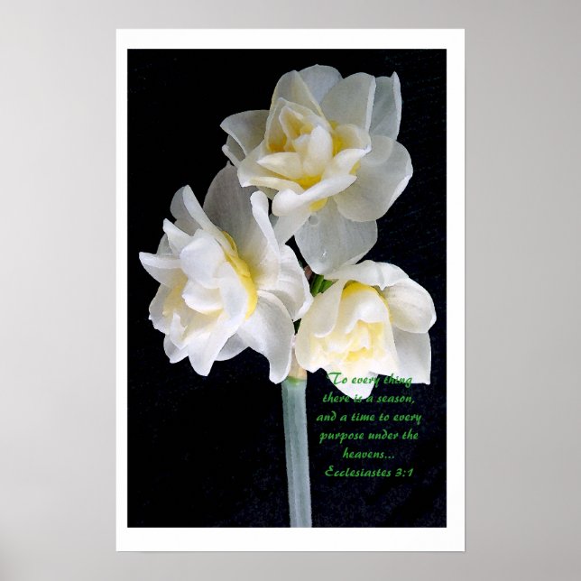 Jonquil Flower - Ecclesiastes 3:1 Poster (Framsidan)