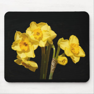 Jonquil Flowers Musmatta