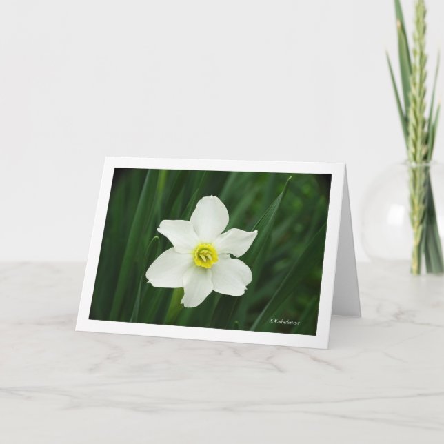 Jonquil i trädgården kort (Framsida)