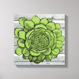 Jonus the Jovibarba heuffelii Canvastryck