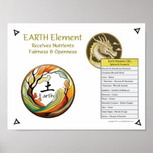 Jord Element Akupunktur Poster