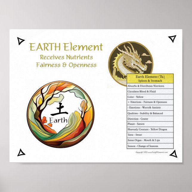 Jord Element Akupunktur Poster (Framsidan)