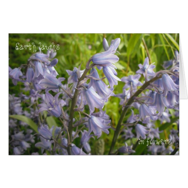 Jord i blommor - Tomt kort (Framsidan Horizontal)