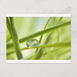 Jord i en droppe vykort