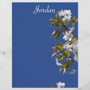 Jordan Blommar Letterhead