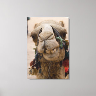 Jordanien, den antika staden Petra i Nabataean Canvastryck