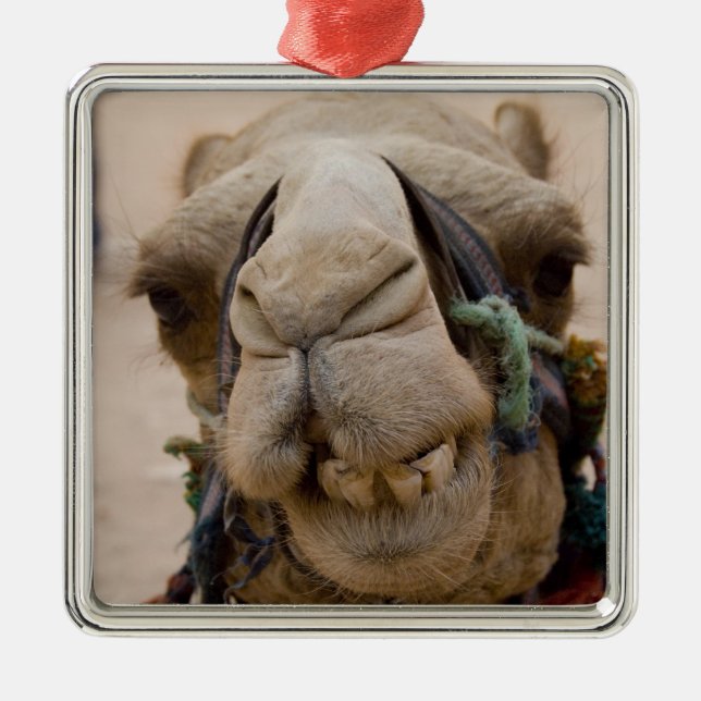 Jordanien, den antika staden Petra i Nabataean Julgransprydnad Metall (Framsidan)