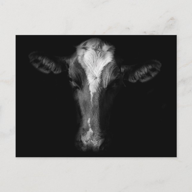 Jordbruk | B&W Kokhuvud Vykort (Framsida)