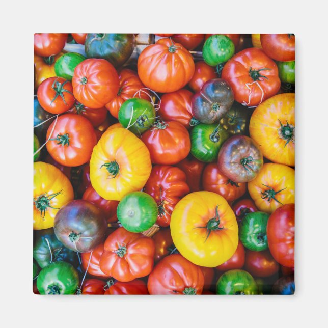 Jordbruk | Colorful Tomato Harvest Magnet (Framsidan)