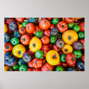 Jordbruk   Colorful Tomato Harvest Poster