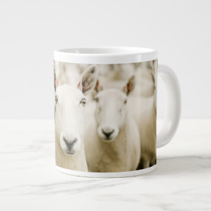 Jordbruk Fårbesättning Jumbo Mugg