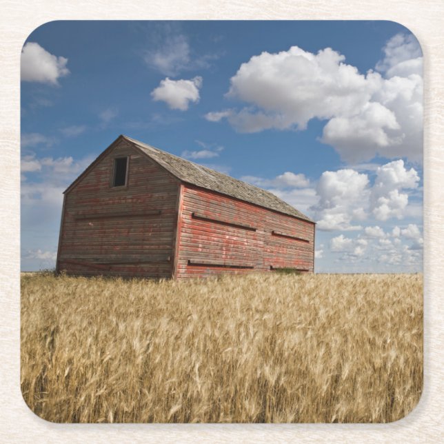 Jordbruk | Gammal rödbrun i vete Fält Underlägg Papper Kvadrat (Framsidan)