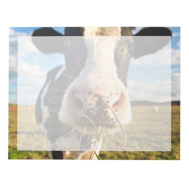 Jordbruk | Holstein Cow Chewing Anteckningsblock (Framsida)