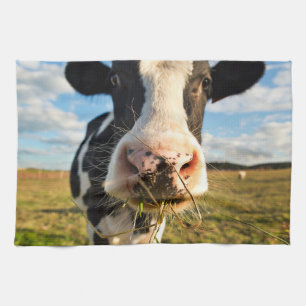Jordbruk   Holstein Cow Chewing Kökshandduk