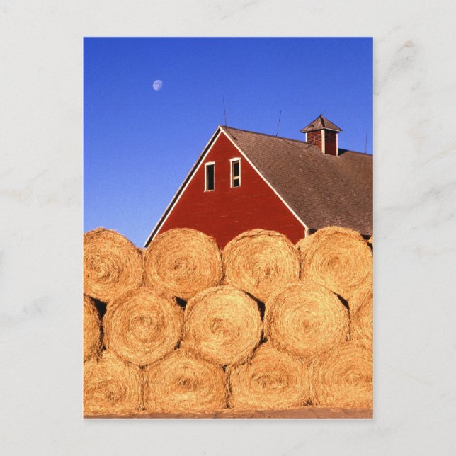 Jordbruk i Iowa Vykort (Framsida)