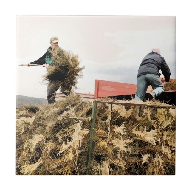 JORDBRUK KAKELPLATTA (Framsidan)