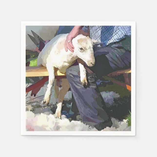 JORDBRUK PAPPERSSERVETT (Framsidan)