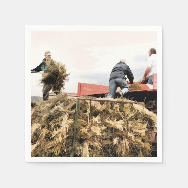 JORDBRUK PAPPERSSERVETT (Framsidan)