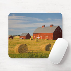 Jordbruk Red Barns nära Hay Balans Musmatta