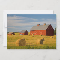 Jordbruk | Red Barns nära Hay Balans