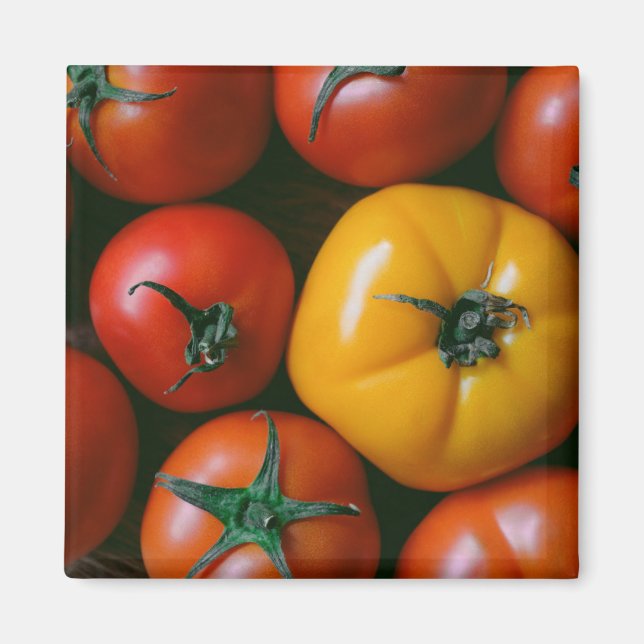 Jordbruk | Shiny Red & Gult Tomates Magnet (Framsidan)