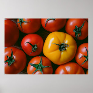 Jordbruk Shiny Red & Gult Tomates Poster