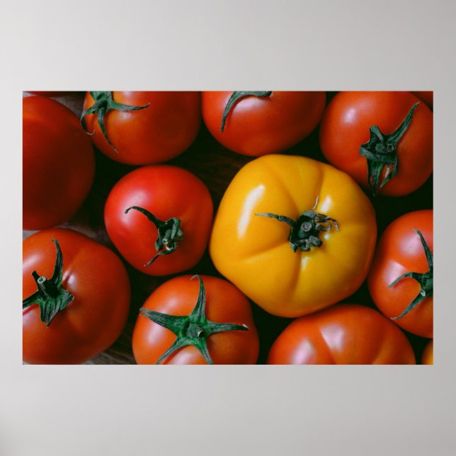 Jordbruk | Shiny Red & Gult Tomates Poster (Framsidan)
