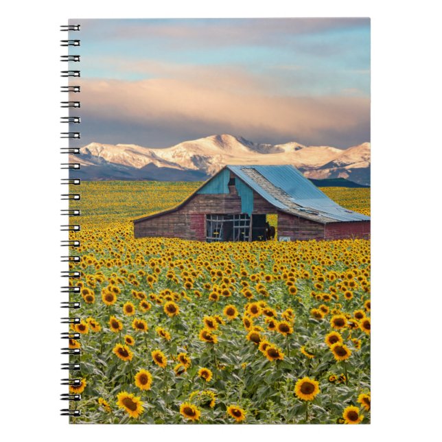 Jordbruk | Solros Fält Anteckningsbok (Framsidan)