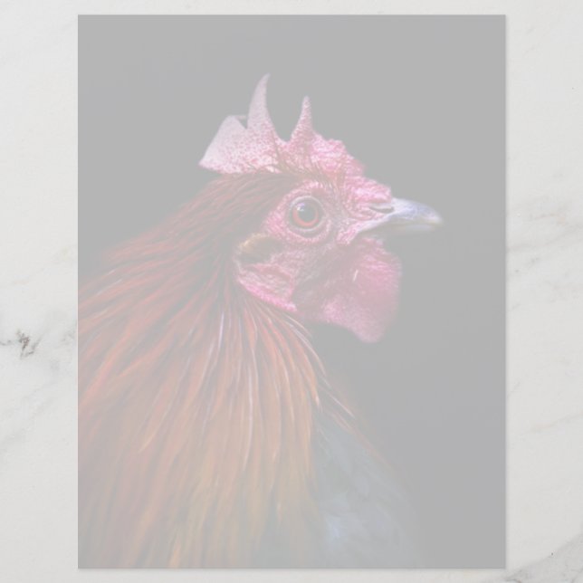 Jordbruk | Tupp Head Shot (Framsida)