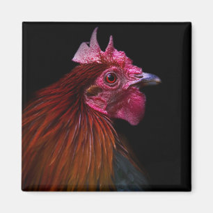 Jordbruk Tupp Head Shot Magnet