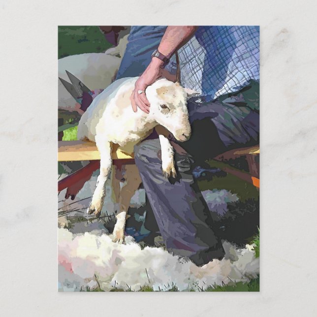 JORDBRUK VYKORT (Framsida)